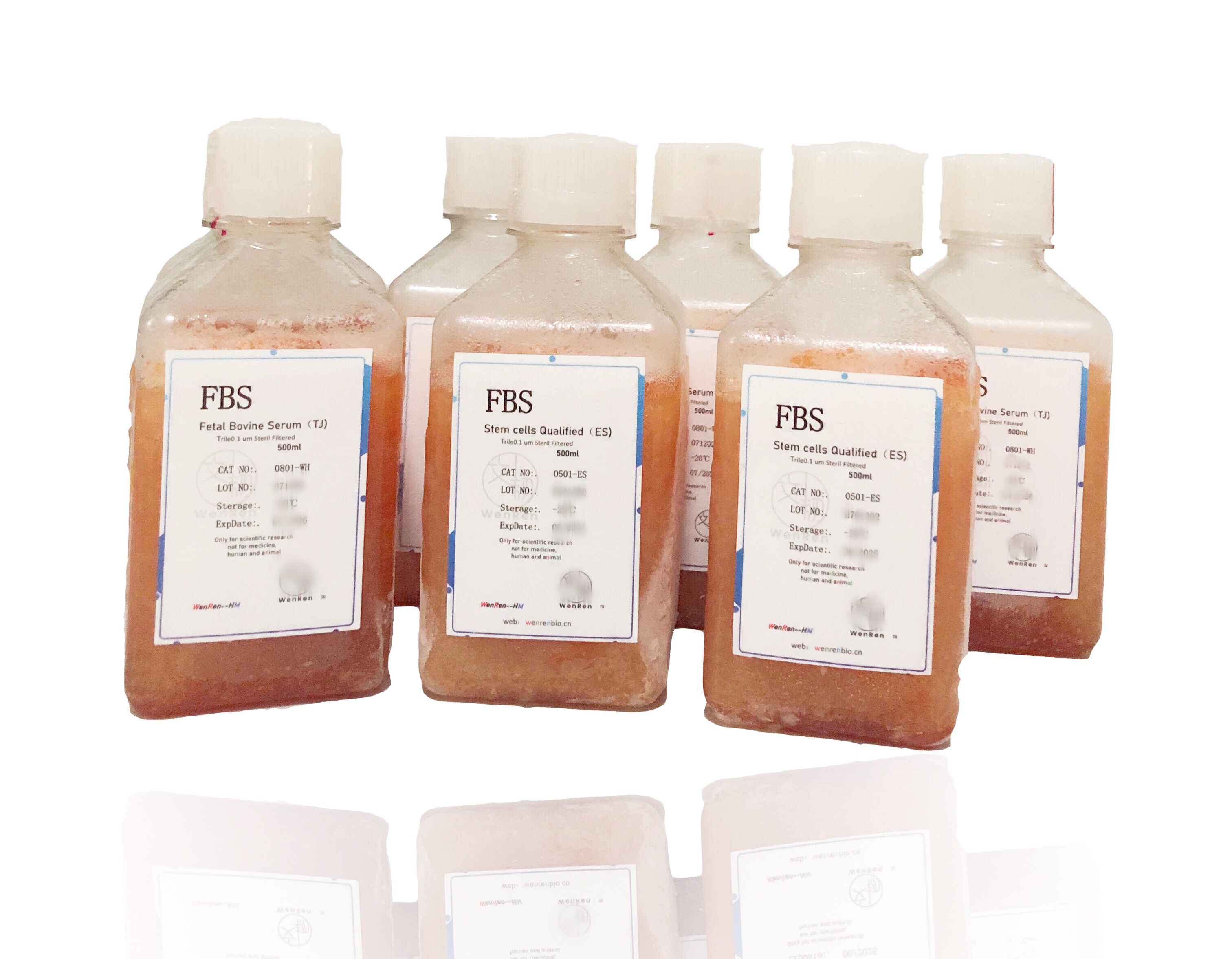 干细胞专用胎牛血清wenren?Stem cells Qualified（ES)