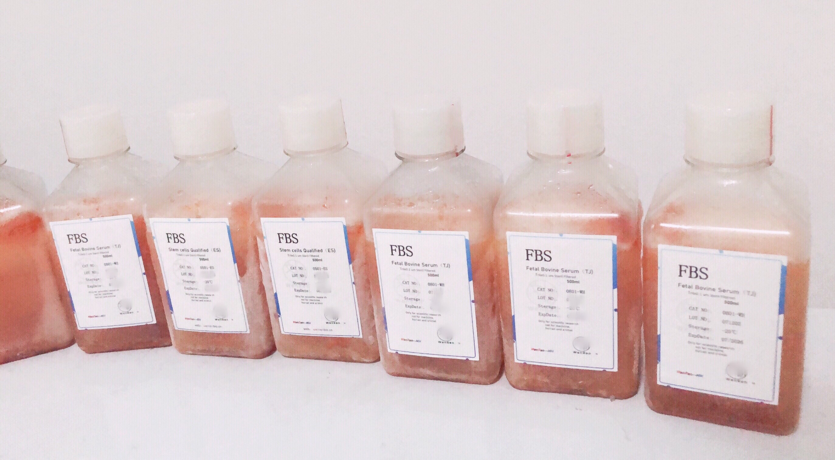 透析型胎牛血清（wenren?（Dialyzed FBS）