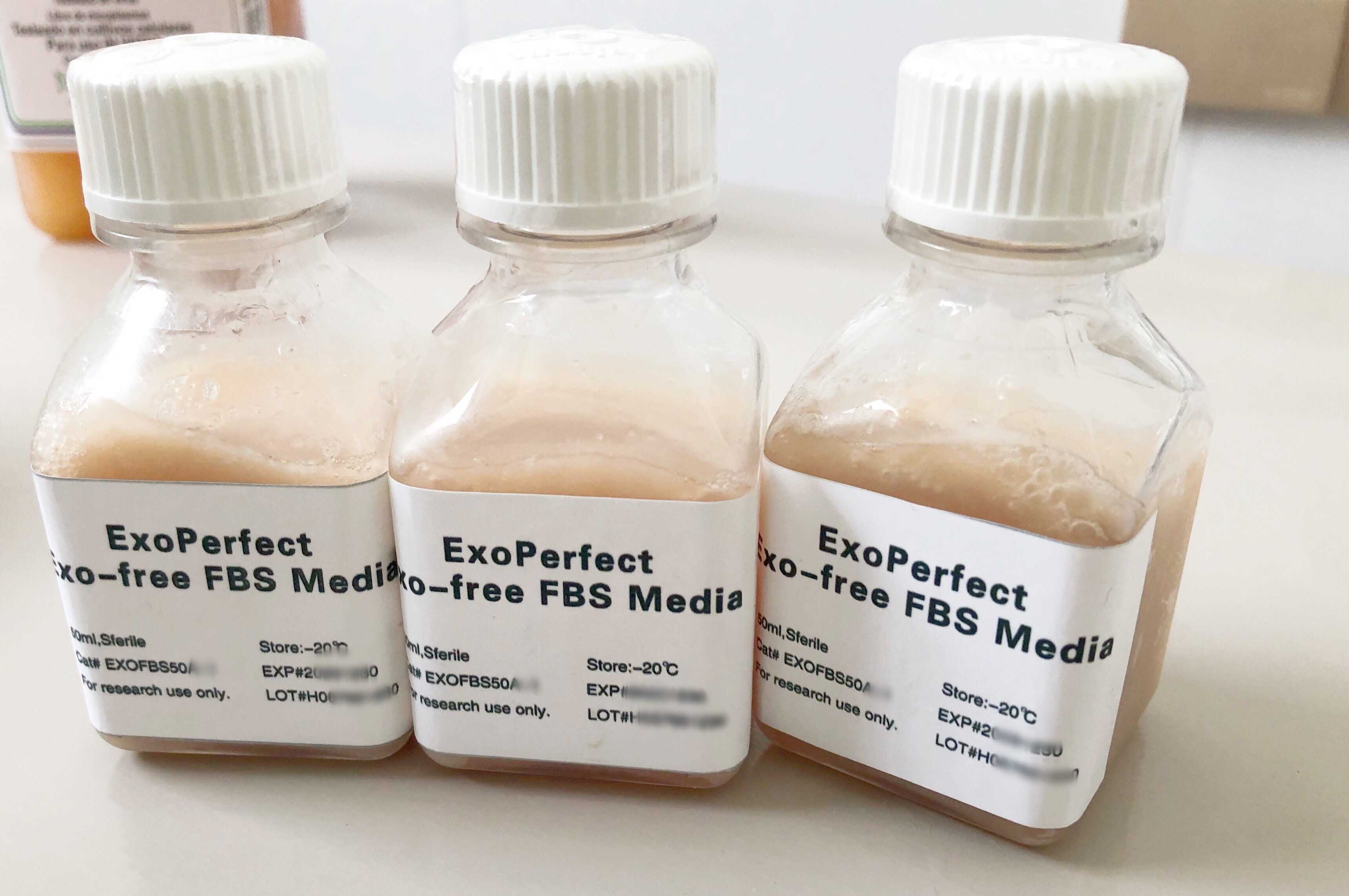 无外泌体胎牛血清（wenren Exosome-Depleted FBS）