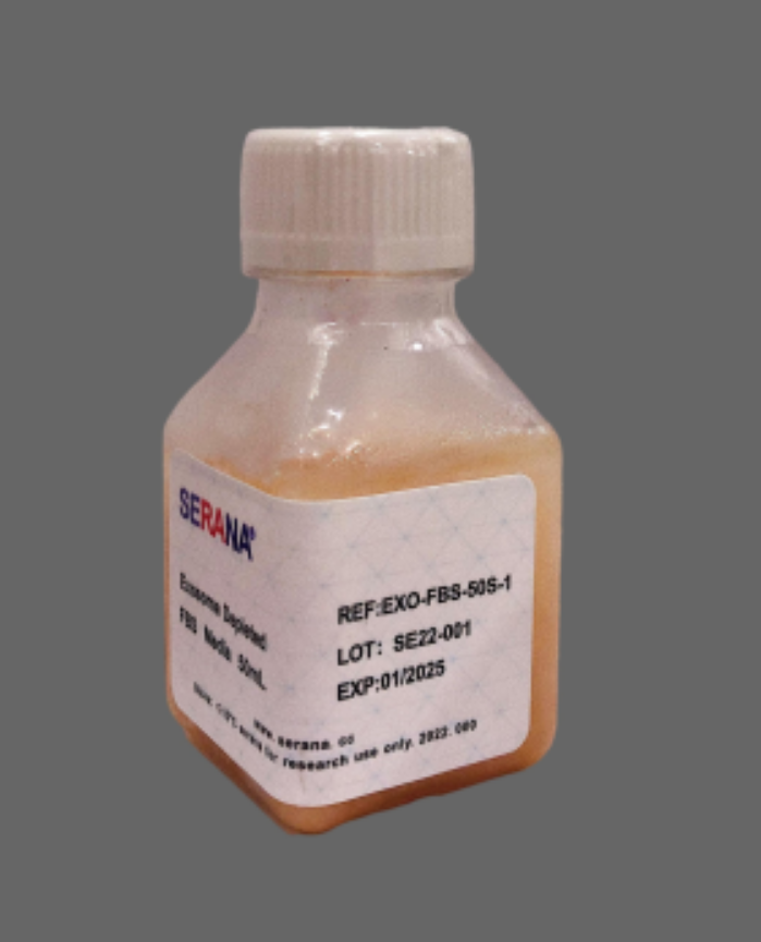 无外泌体胎牛血清